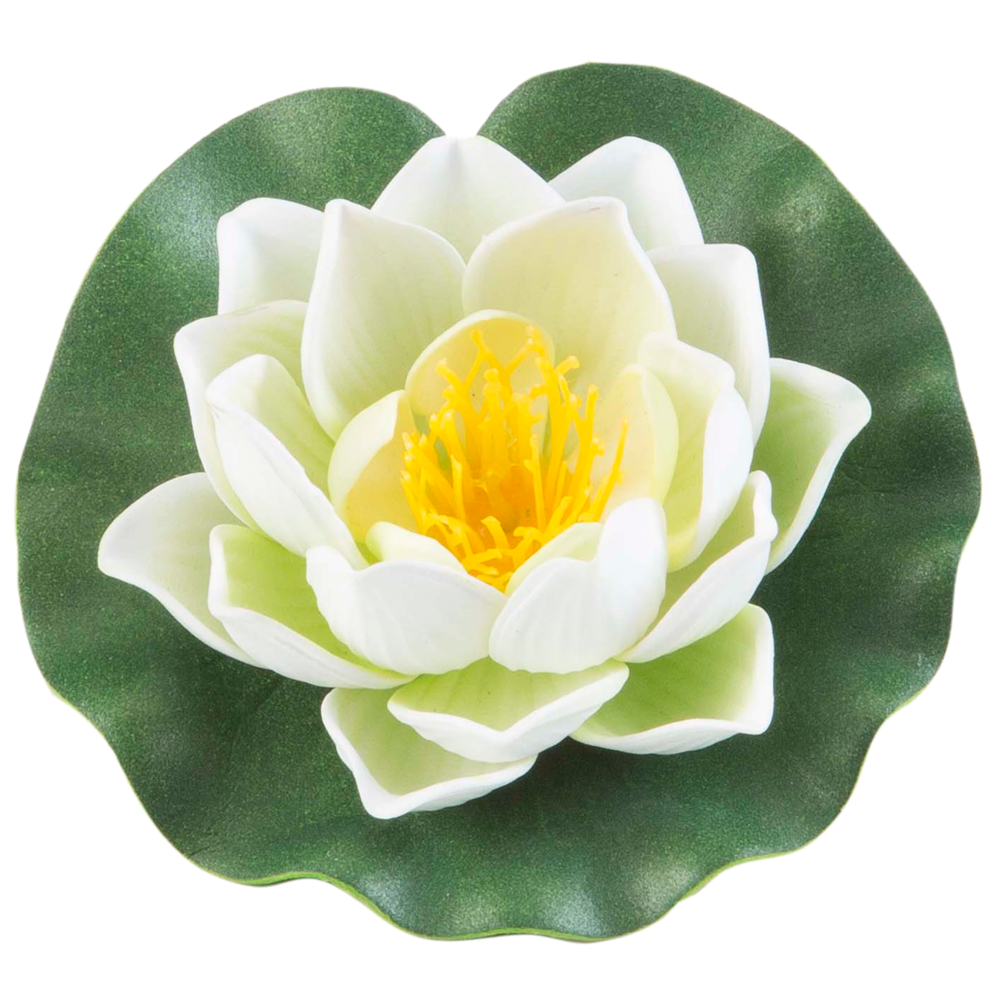Lotus Foam 10 cm