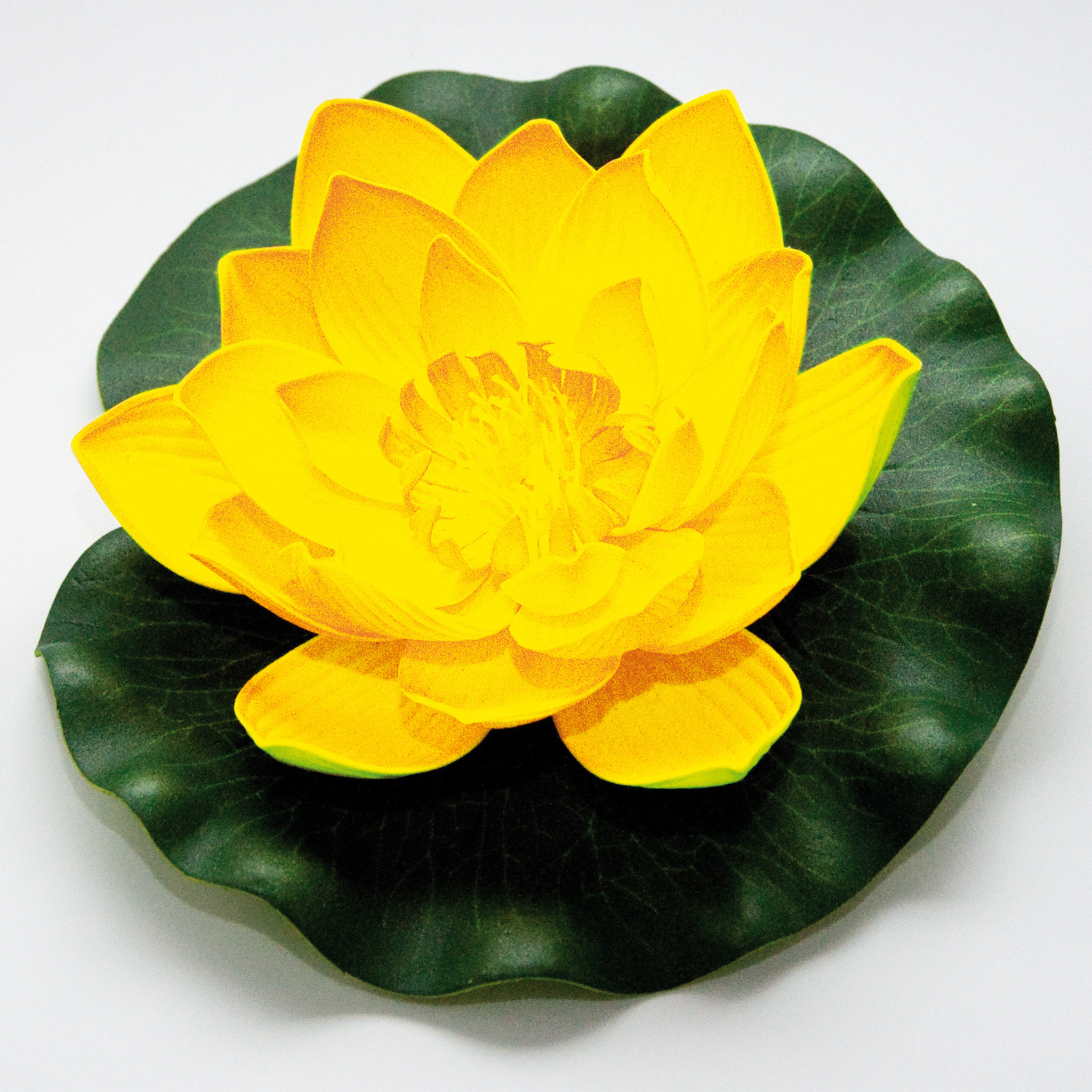 Lotus Foam 17 cm