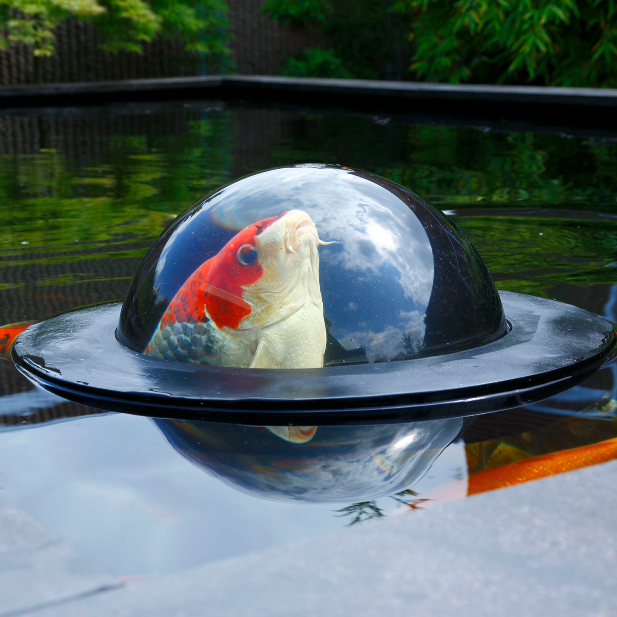 Floating Fish Dome M Ø 56 x 24 cm