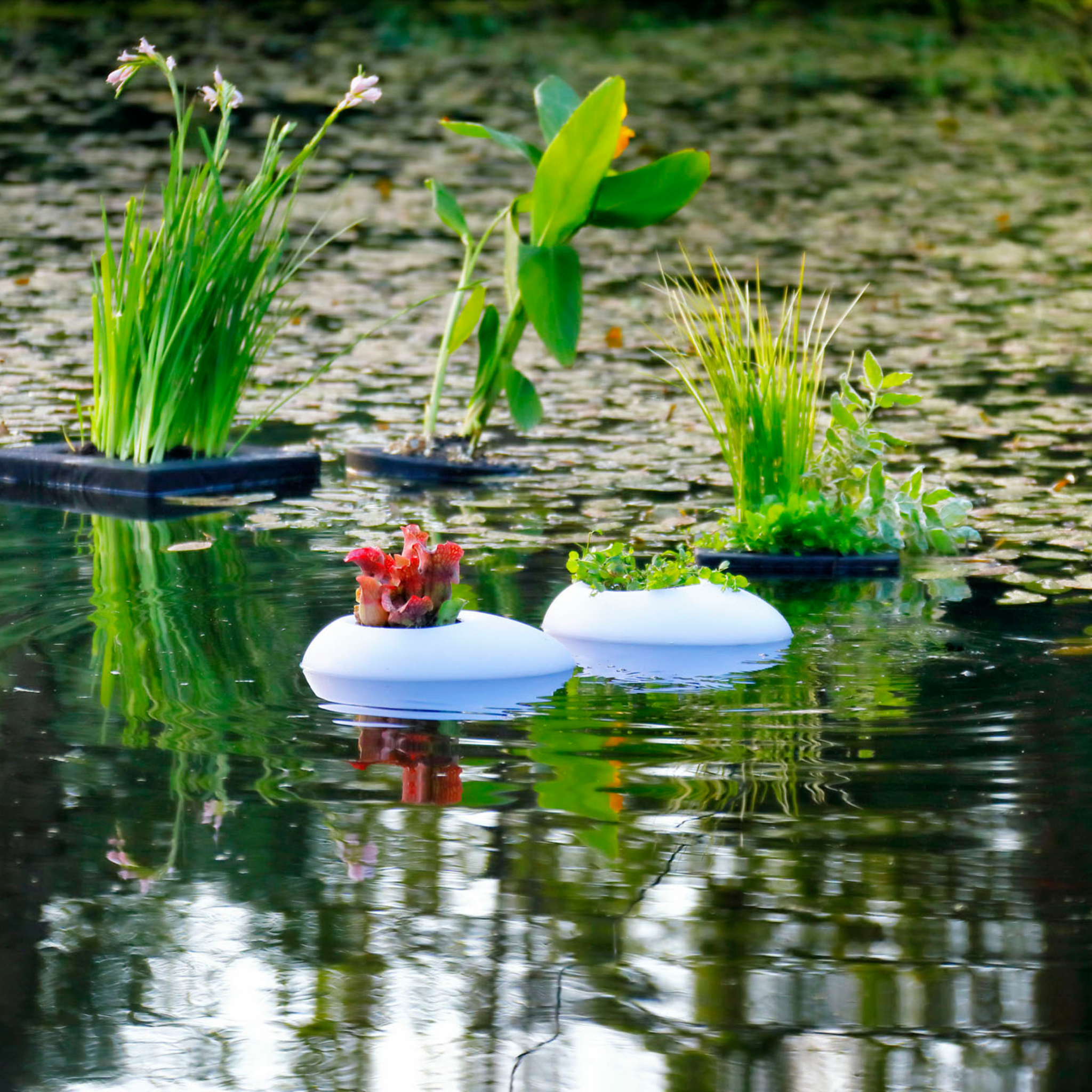 Floating Pond Light